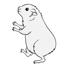 Guinea Pig - Traceable Heraldic Art