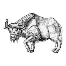 Bison - Traceable Heraldic Art