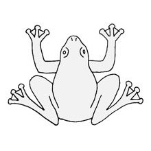 Frog - Traceable Heraldic Art