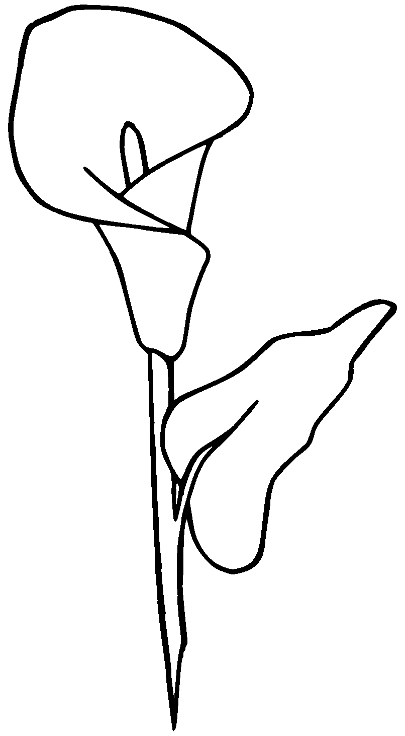 Lily - Traceable Heraldic Art