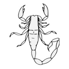 Scorpion - Traceable Heraldic Art