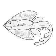 Skate Traceable Heraldic Art