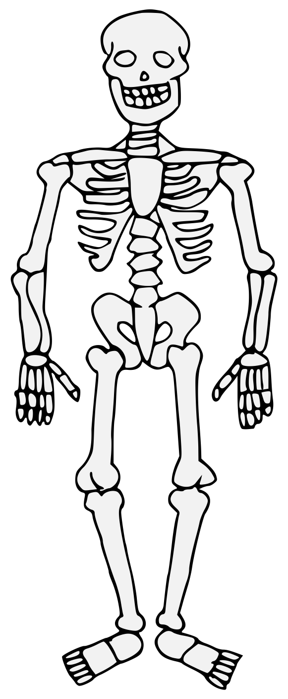 Skeleton - Traceable Heraldic Art