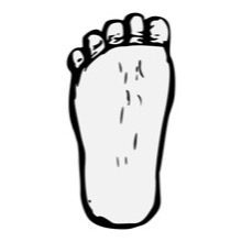 Sole Traceable Heraldic Art