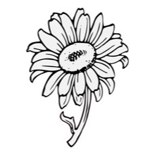 Sunflower - Traceable Heraldic Art